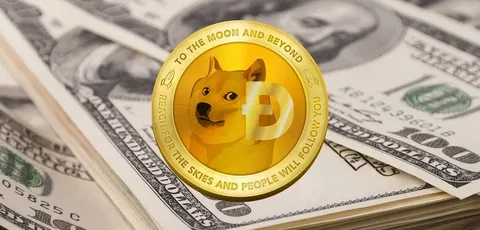 Doge Software Licenses Audit HUD