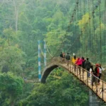 To Visit Vuzillfotsps